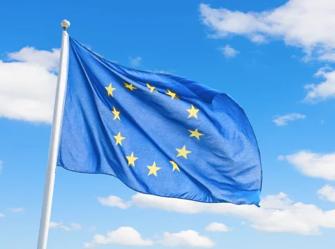 bandera seguros